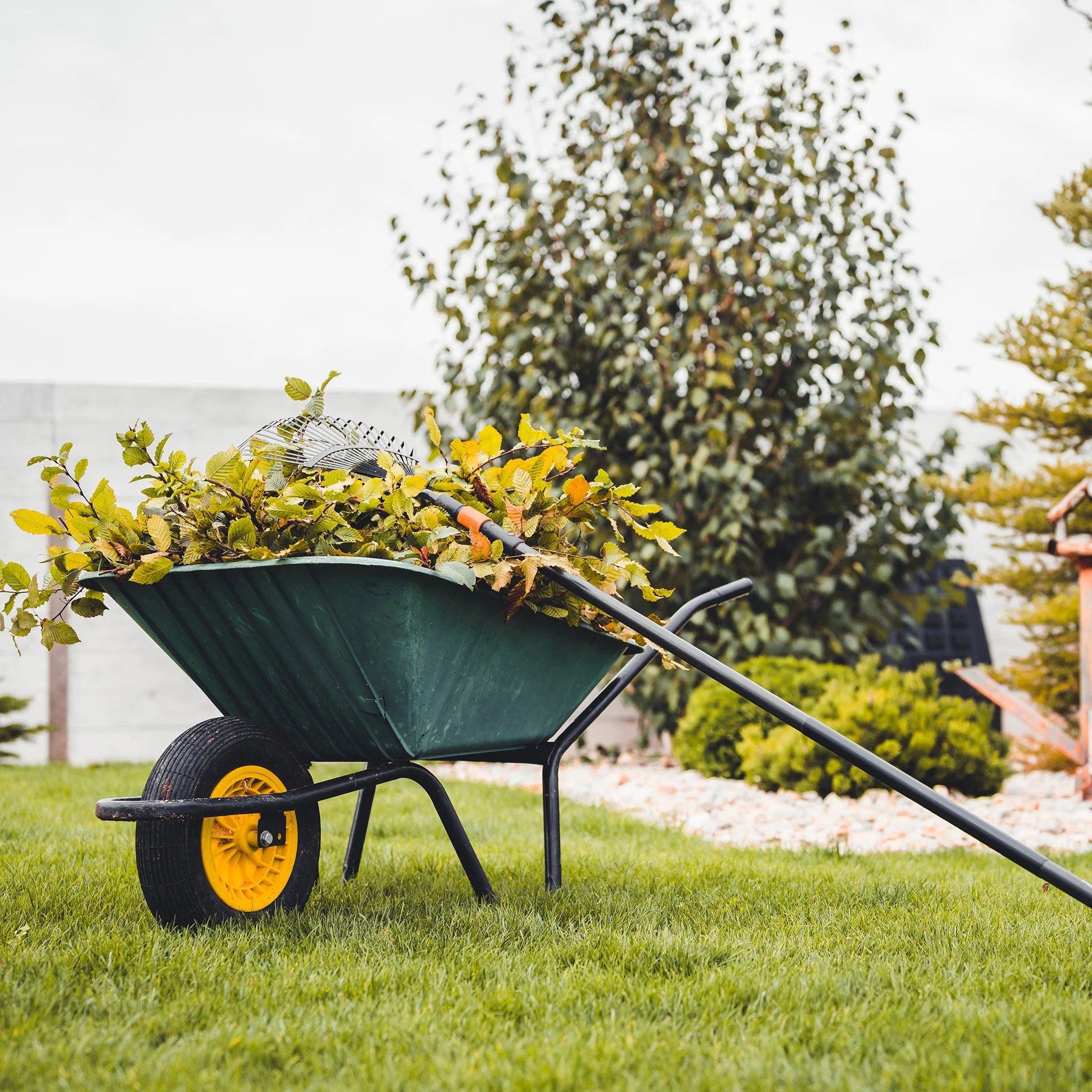 Master the Art of Country Living