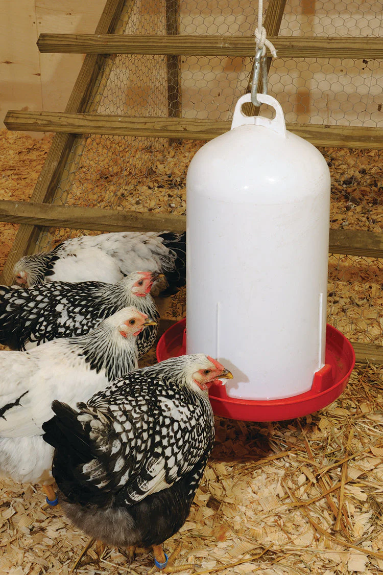 Top Fill Fountain Waterer - Image 4