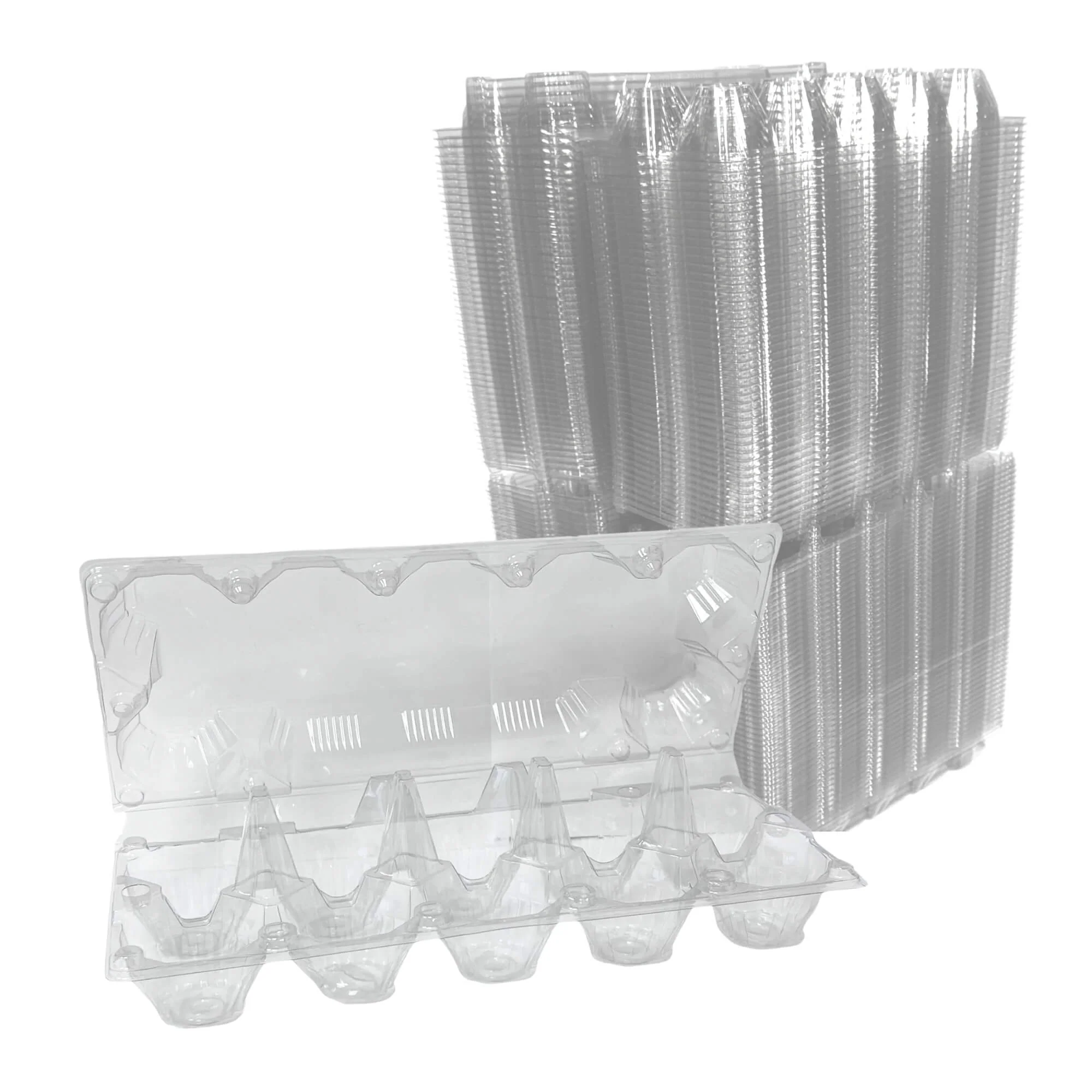 10-Egg Carton - Clear Plastic - Image 10