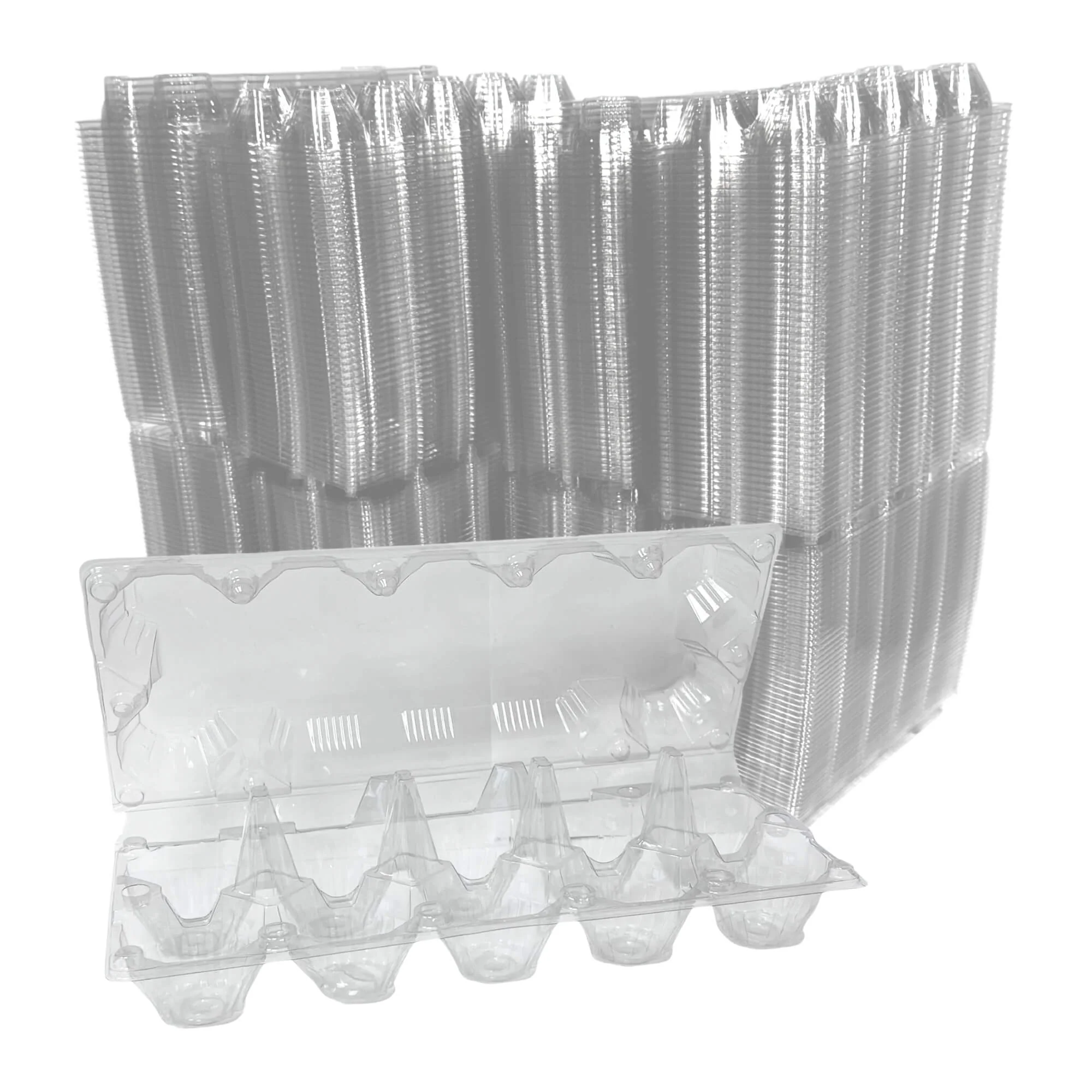 10-Egg Carton - Clear Plastic - Image 11