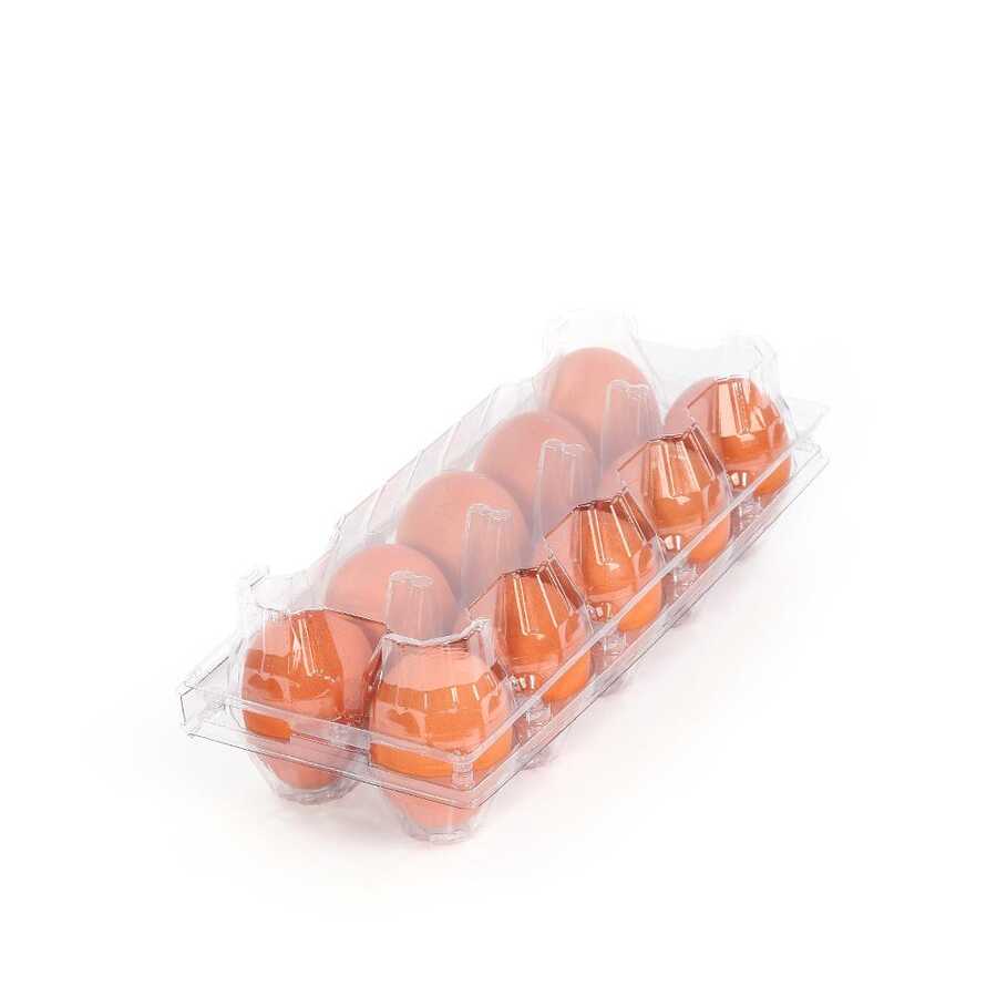 10-Egg Carton - Clear Plastic - Image 3