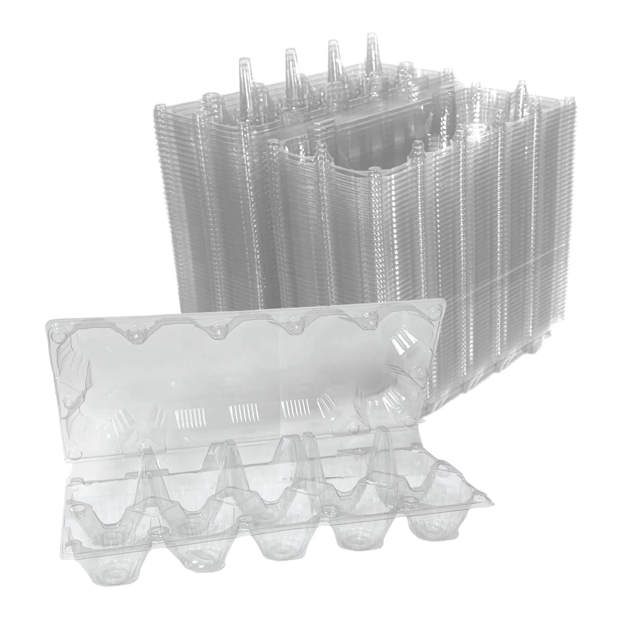 10-Egg Carton - Clear Plastic - Image 9