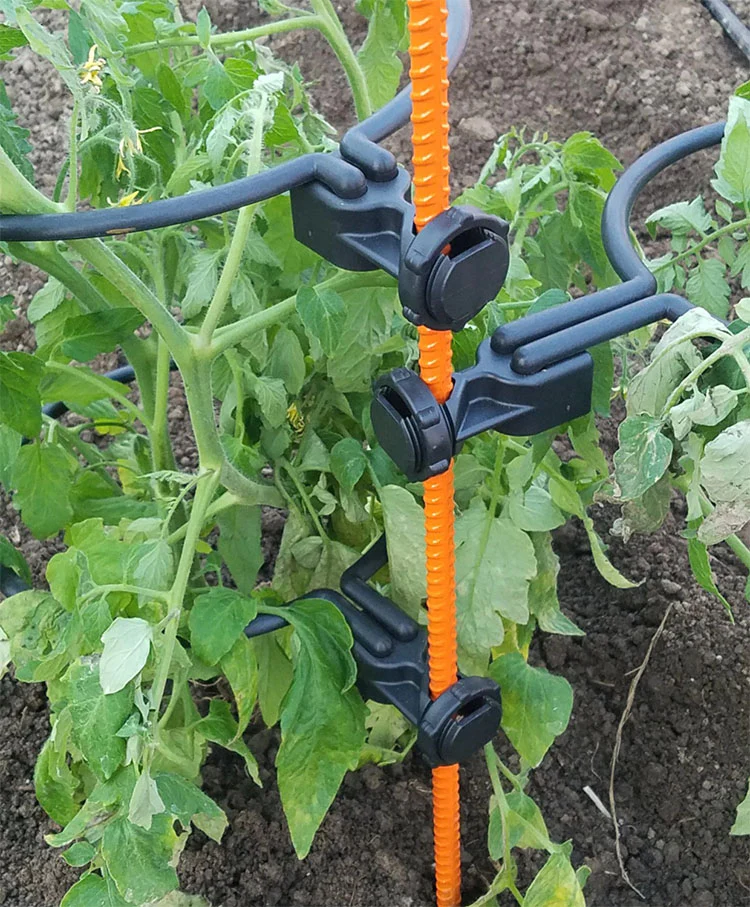 10-INCH PLANT SUPPORT RINGS - Image 4