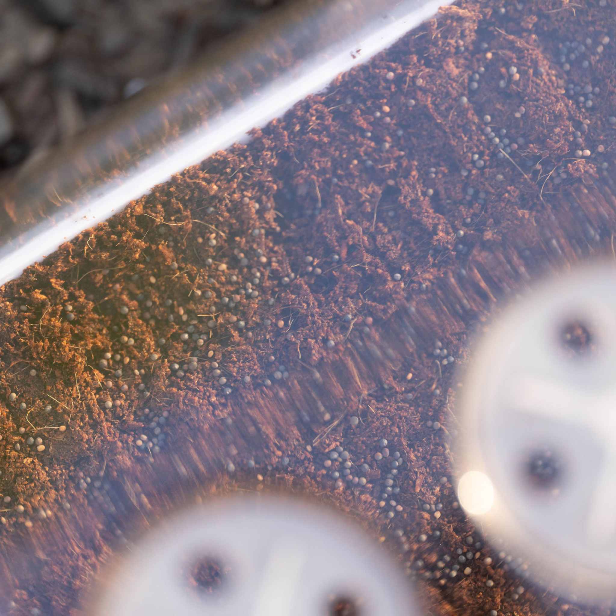 1010 Humidity Dome Tray Lids - Image 3