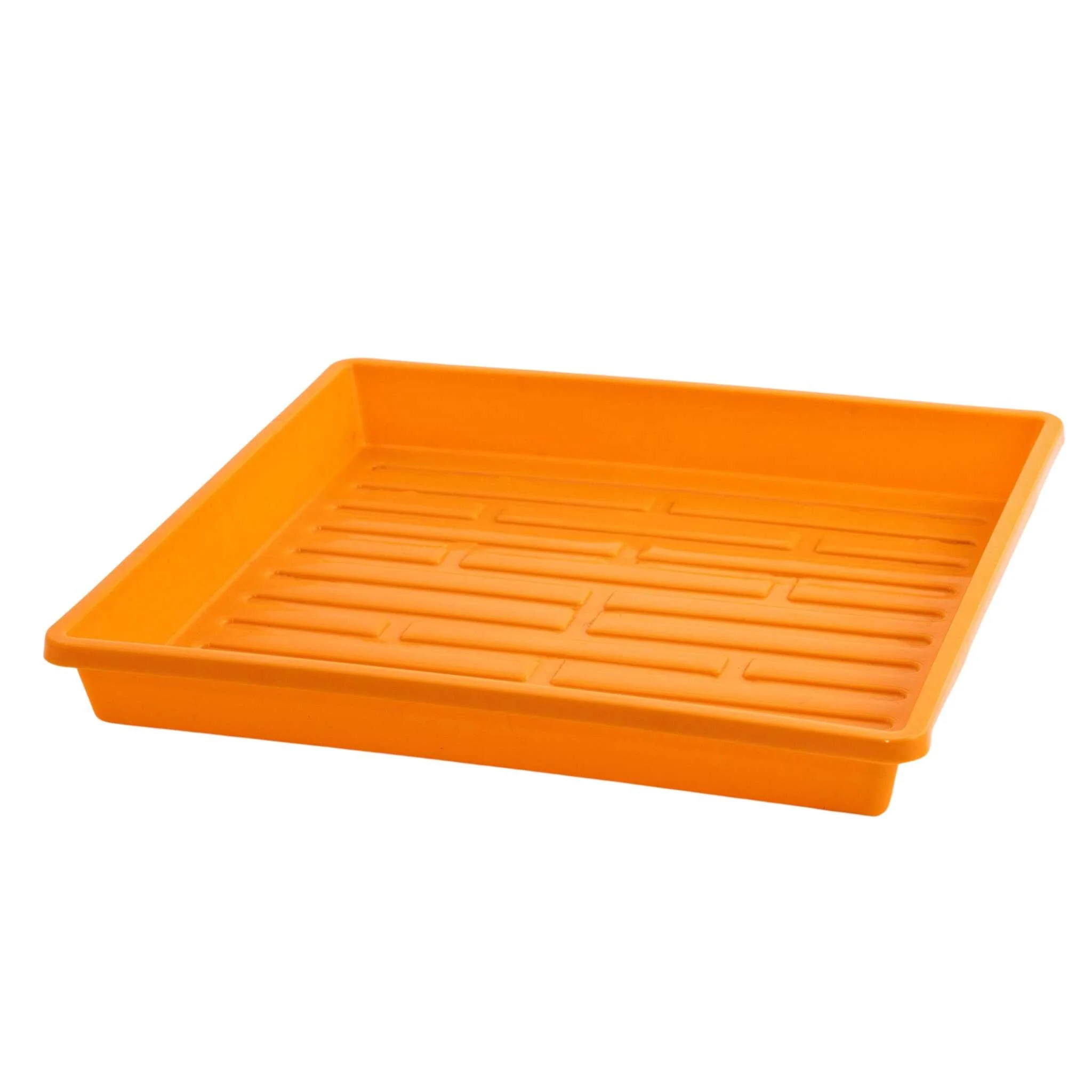 1010 Shallow Seed Trays - Image 10