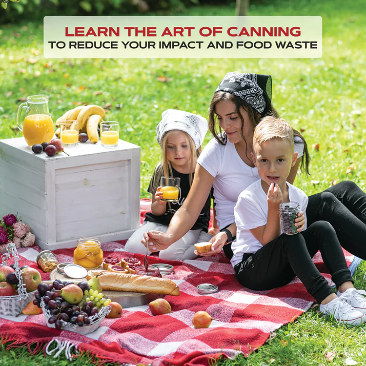 12 Canning Lids - Image 9