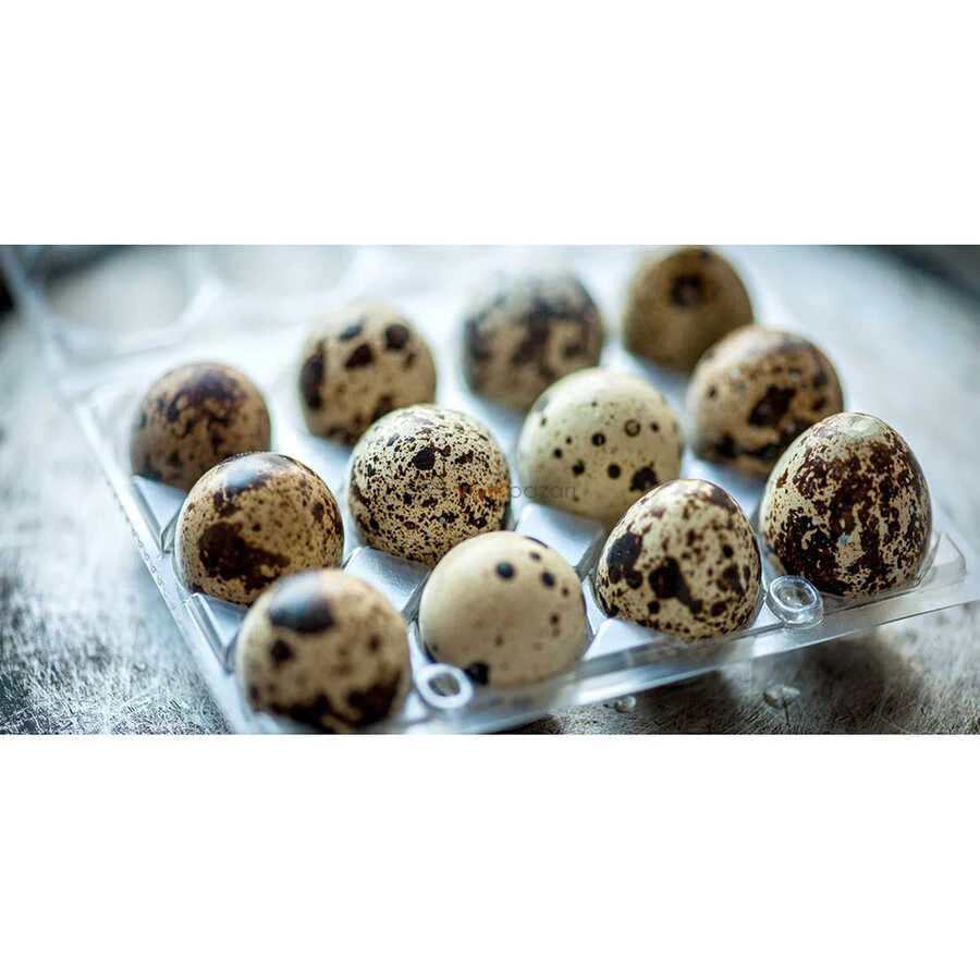 12-Egg Carton (Quail) - Clear Plastic - Image 3