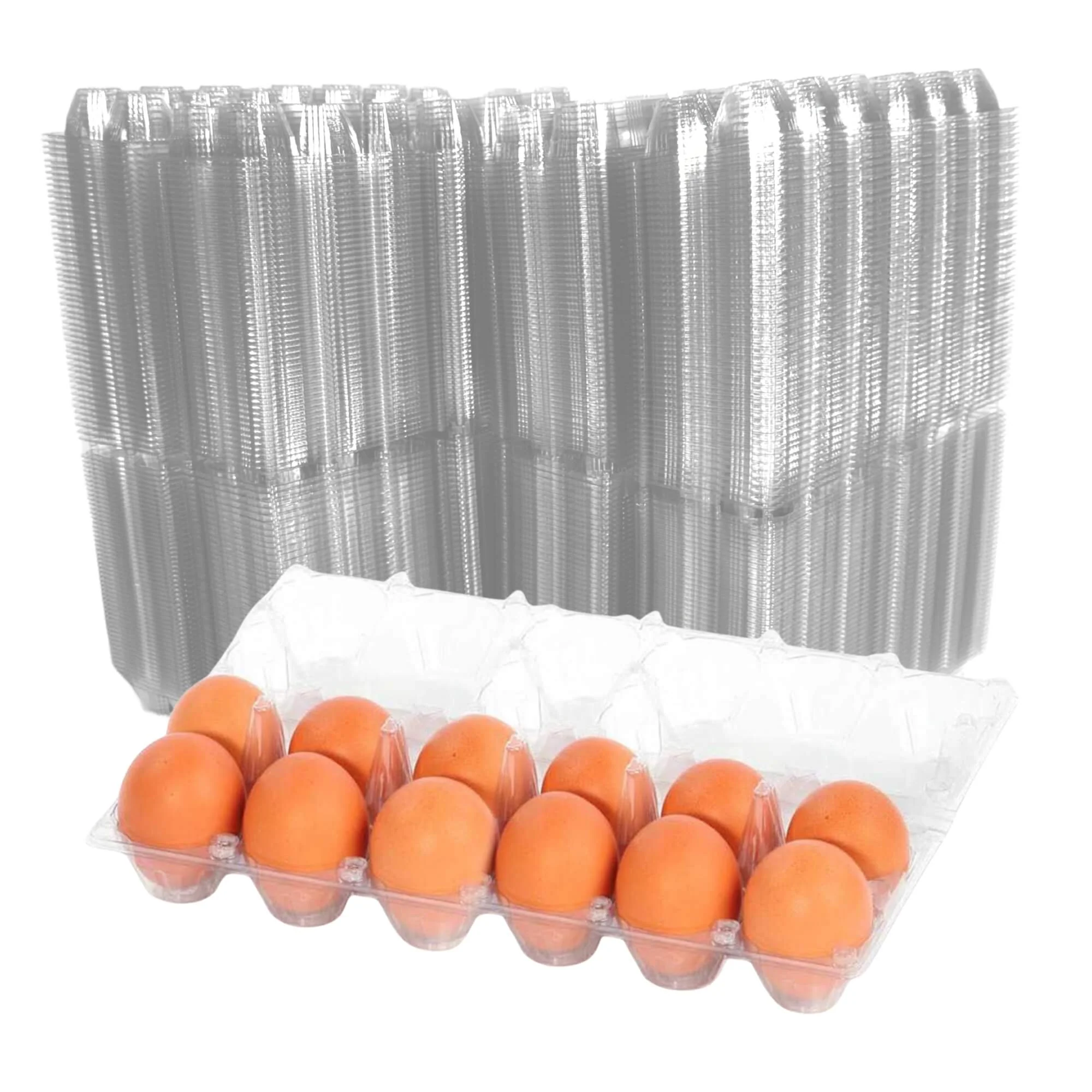 12-Egg Cartons - Clear Plastic - Image 10