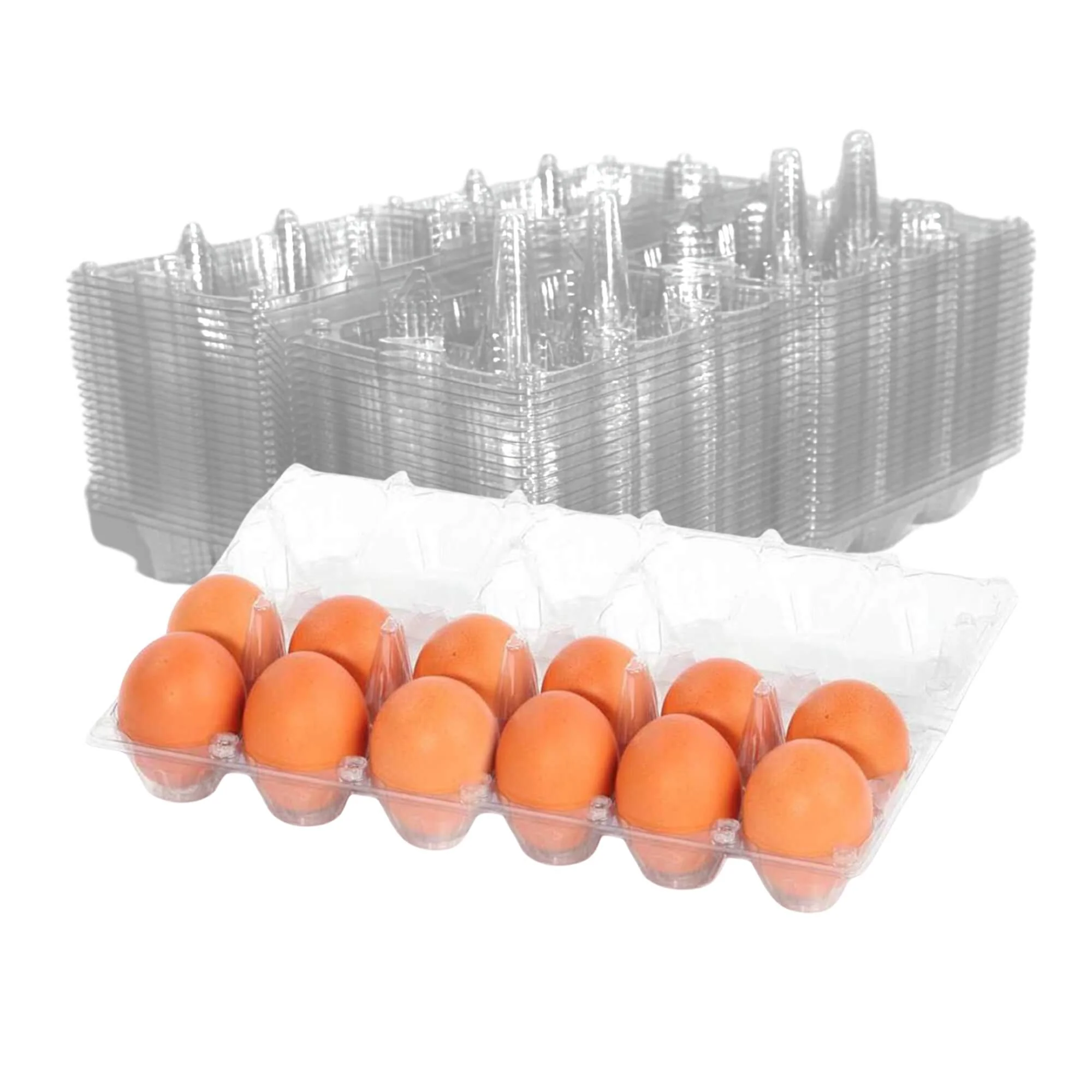 12-Egg Cartons - Clear Plastic - Image 7
