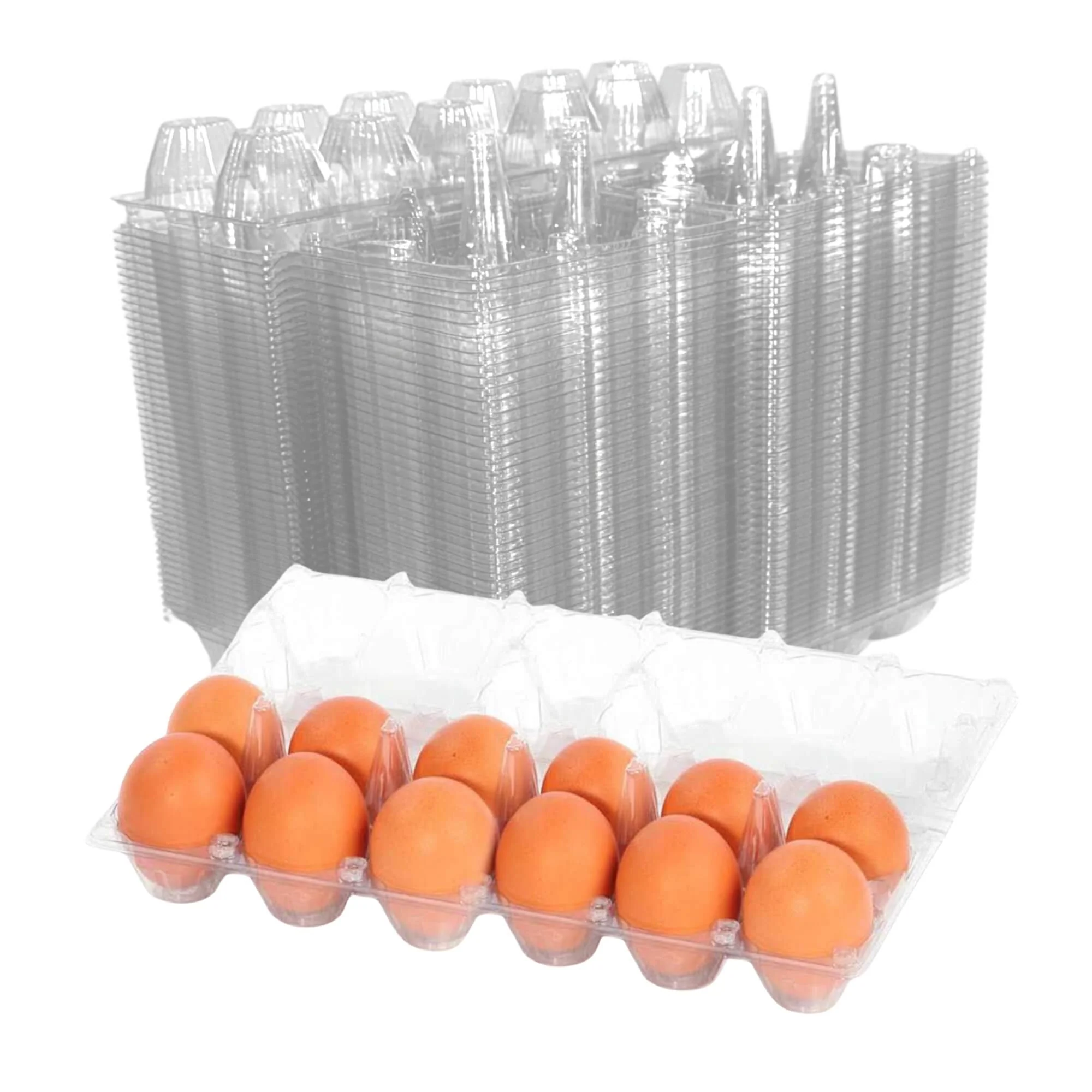 12-Egg Cartons - Clear Plastic - Image 8
