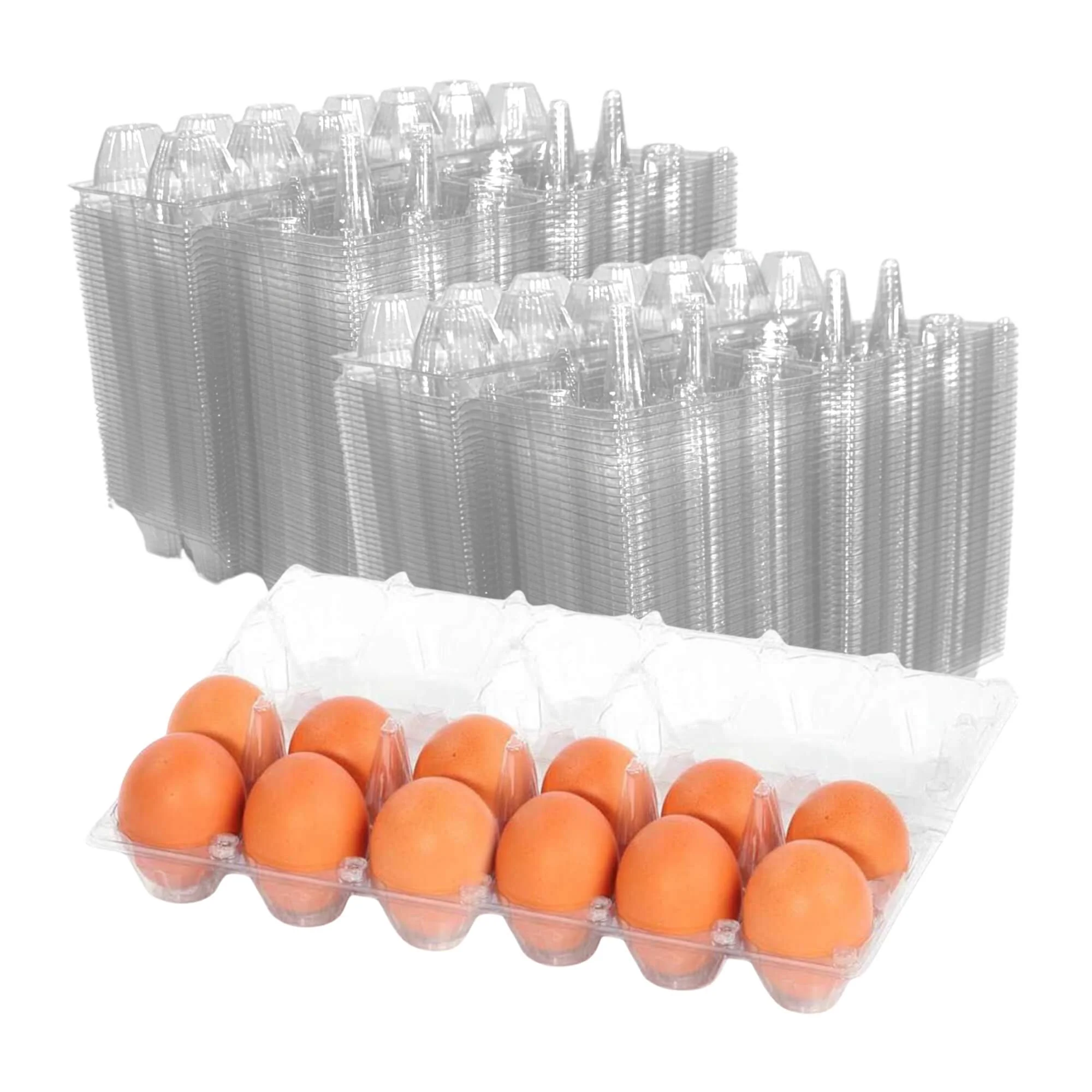 12-Egg Cartons - Clear Plastic - Image 9