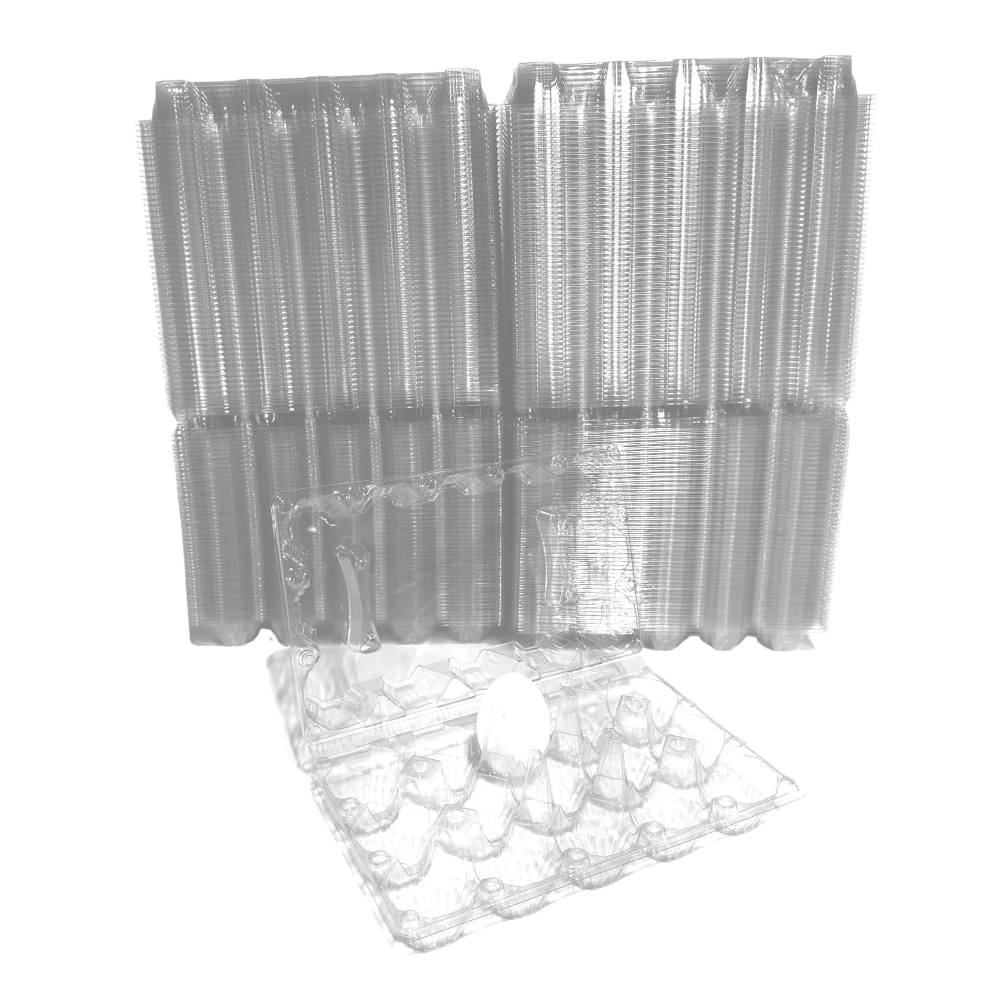 15-Egg Carton - Clear Plastic - Image 10