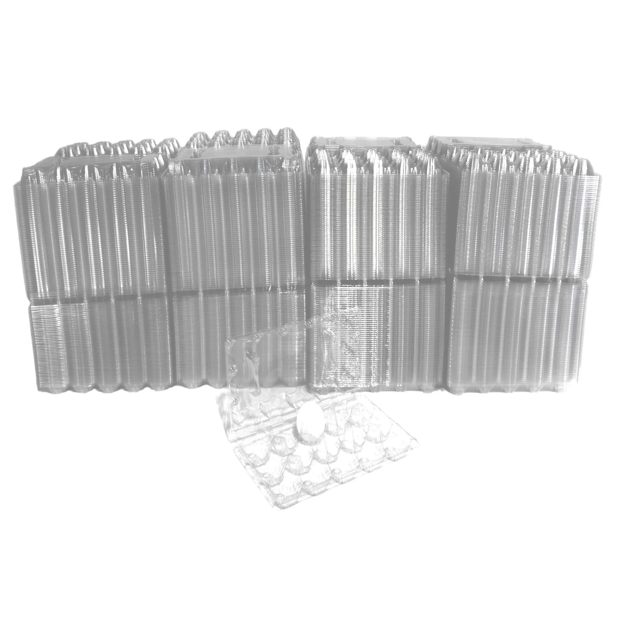 15-Egg Carton - Clear Plastic - Image 11