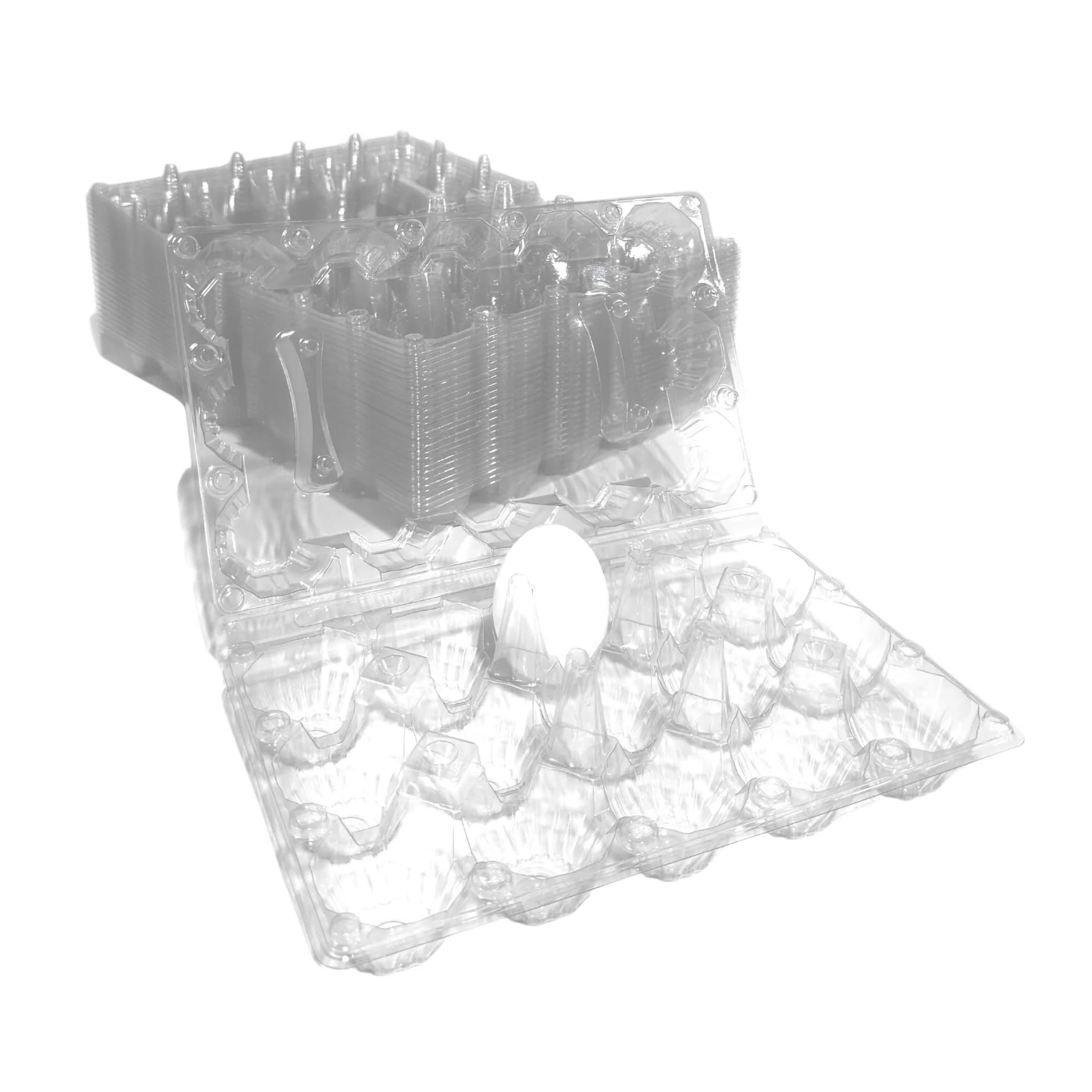 15-Egg Carton - Clear Plastic - Image 7