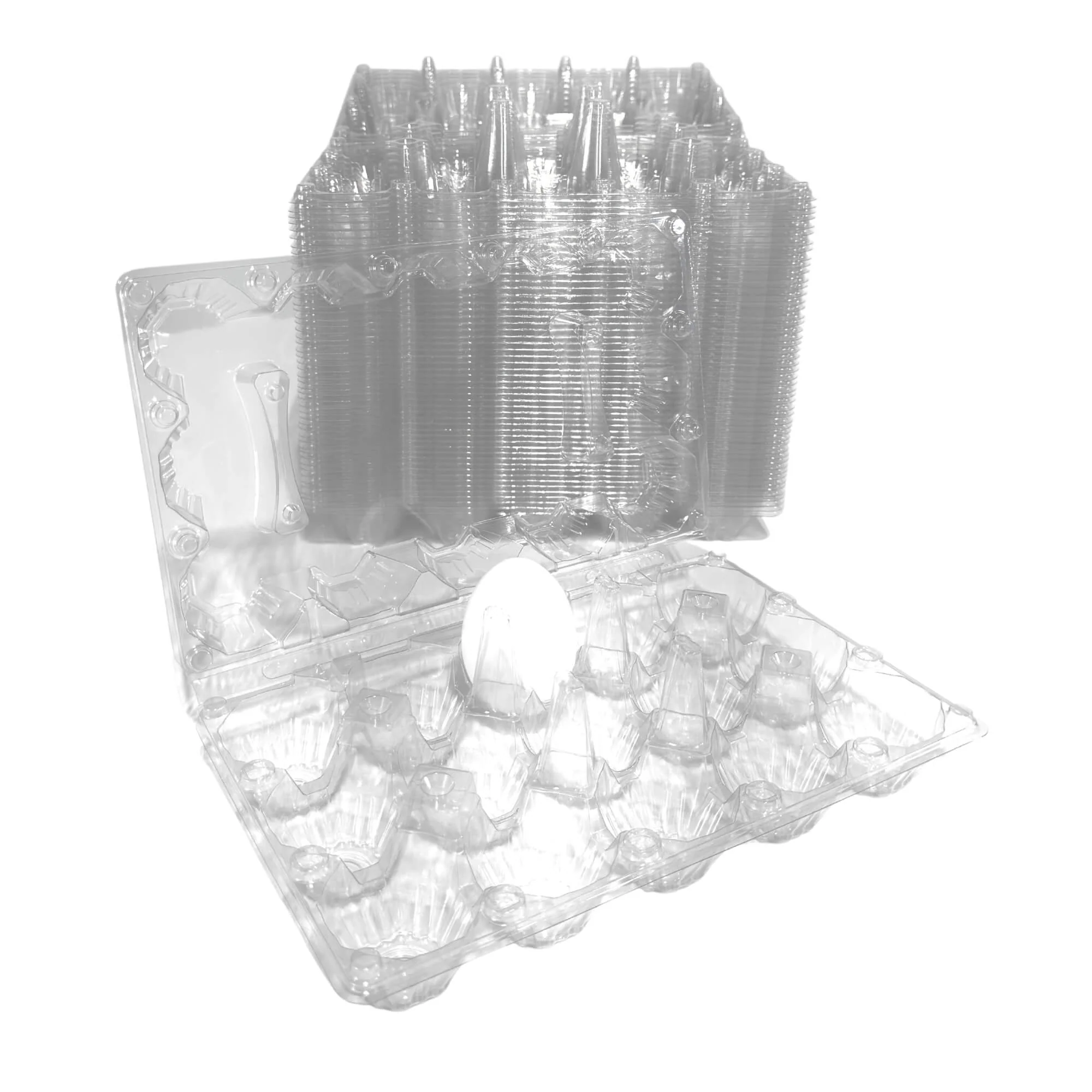 15-Egg Carton - Clear Plastic - Image 8