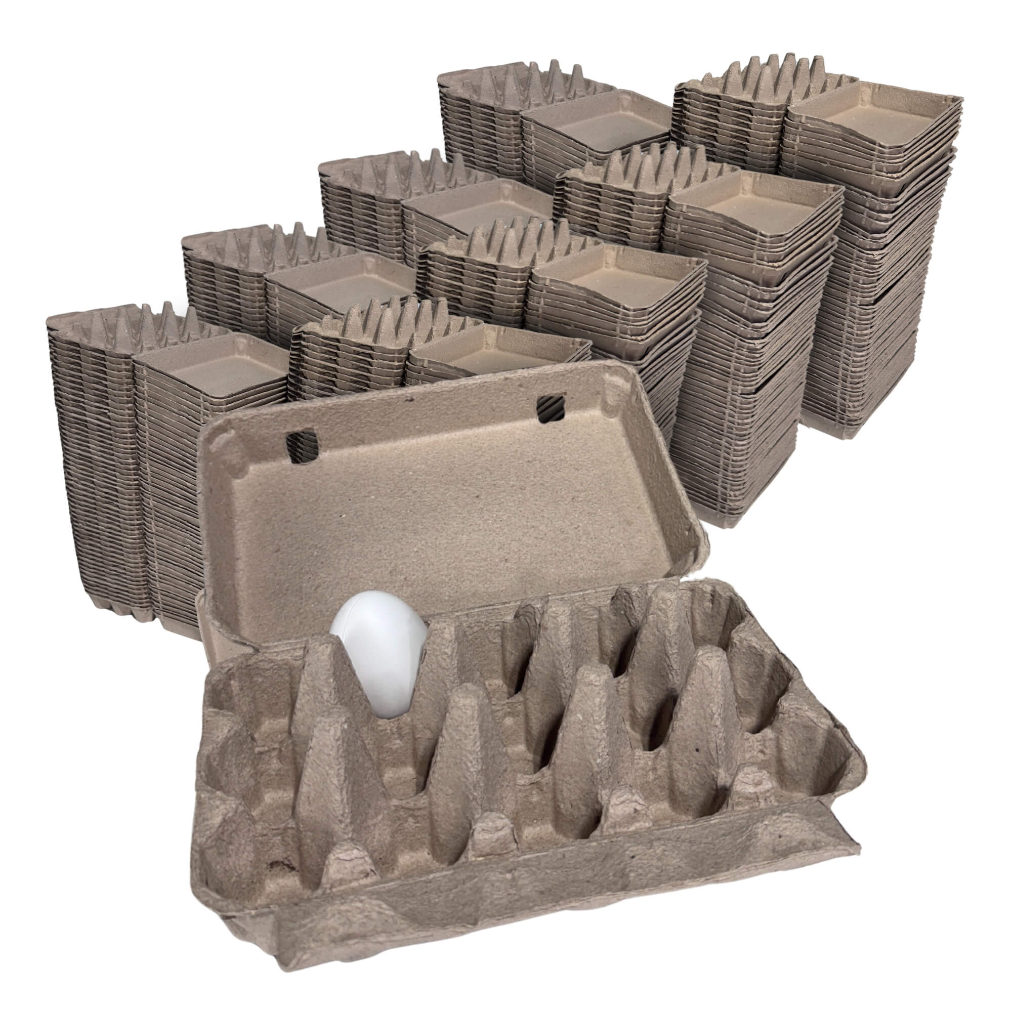 15-Egg Cartons - Natural Pulp, Flat Top Blank - Image 10