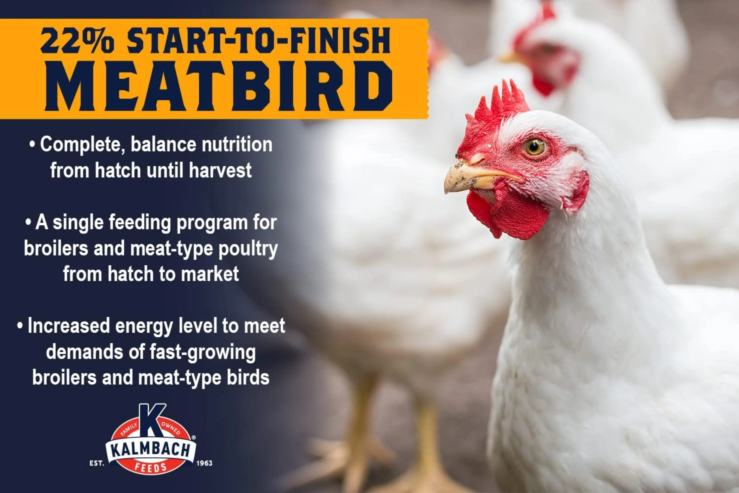 22% ALL Natural Start to Finish Meatbird Crumbles - 10 lb - Image 4