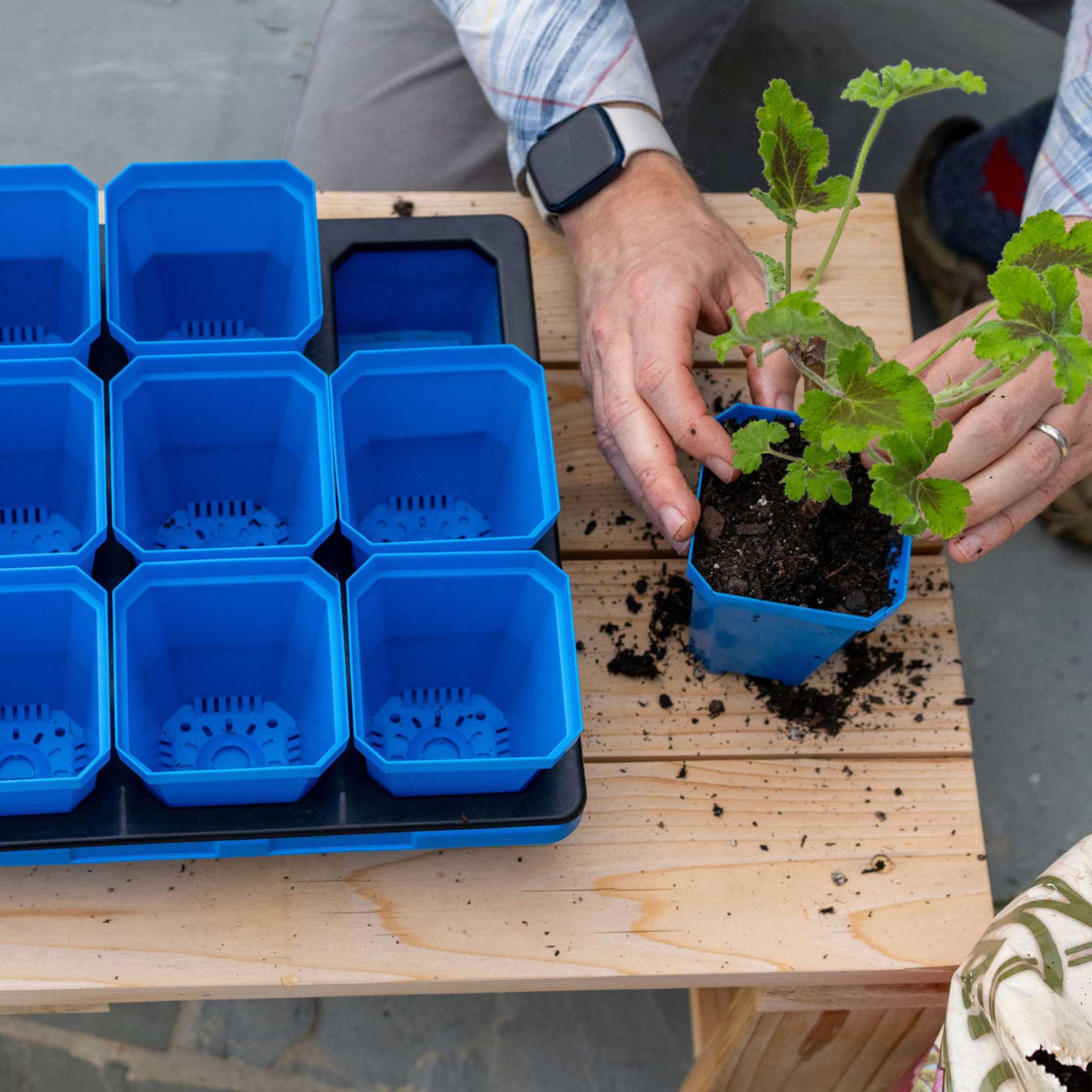 3.3" Heavy Duty Seed Starting Pots - Image 7