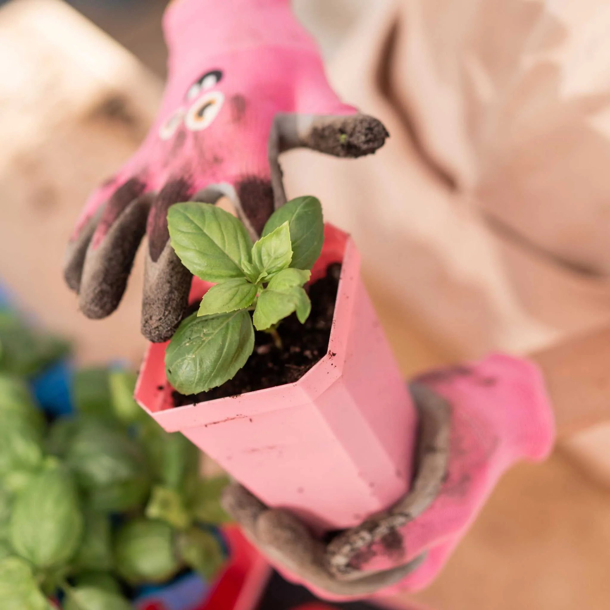 3.3" Heavy Duty Seed Starting Pots with Inserts - Image 11