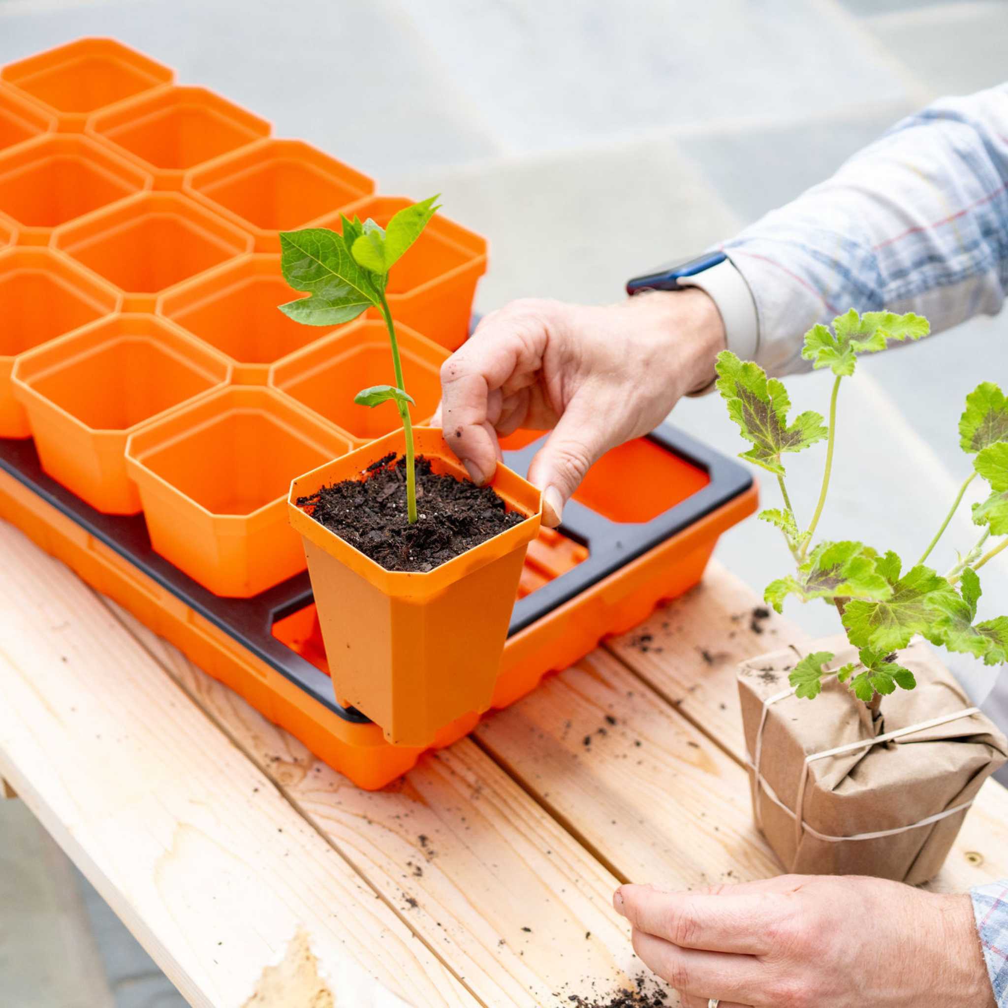 3.3" Heavy Duty Seed Starting Pots with Inserts - Image 20