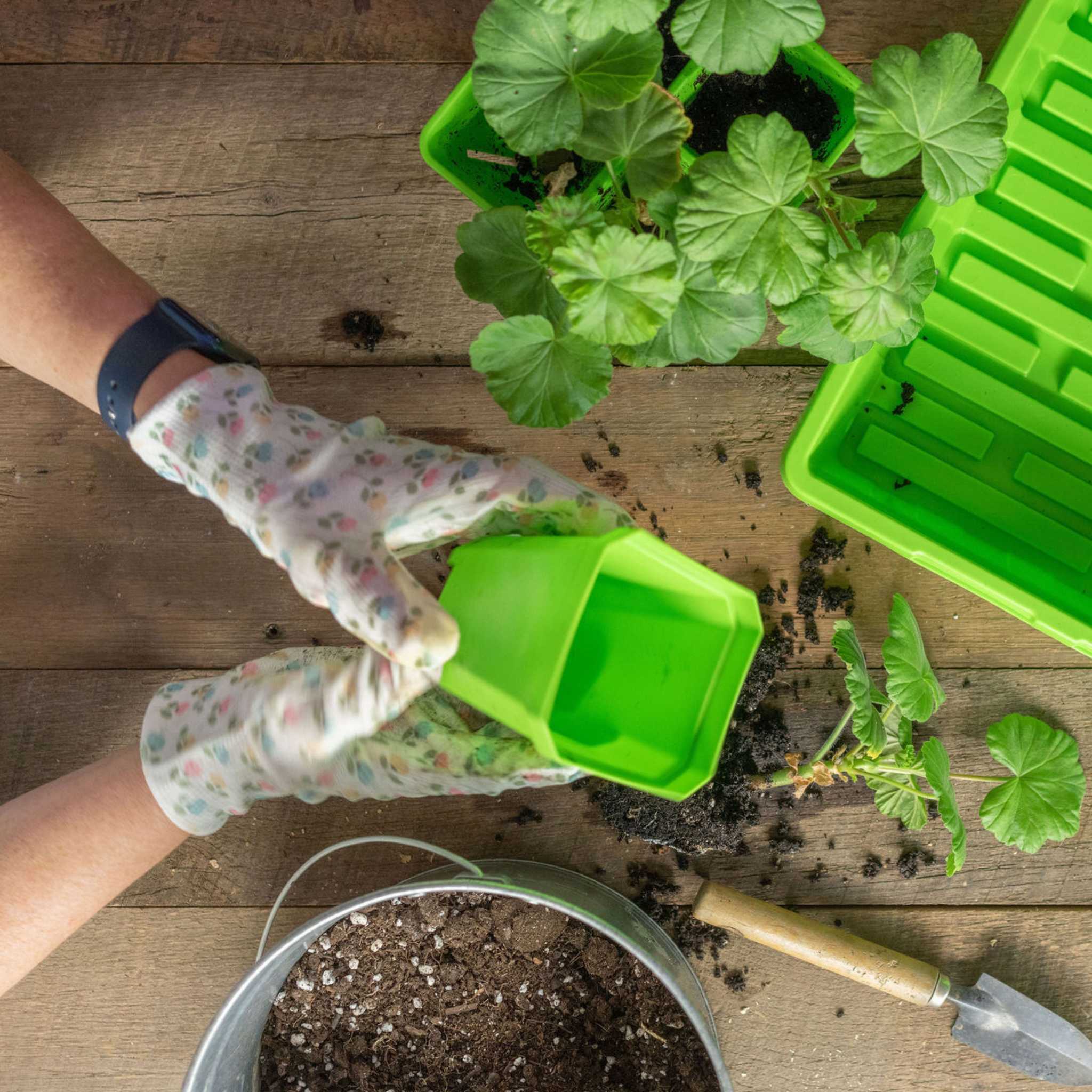 3.3" Heavy Duty Seed Starting Pots with Inserts - Image 23