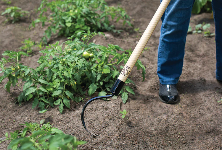 Ogden Cobrahead Long Handle Weeder & Cultivator Garden Tool - Image 5