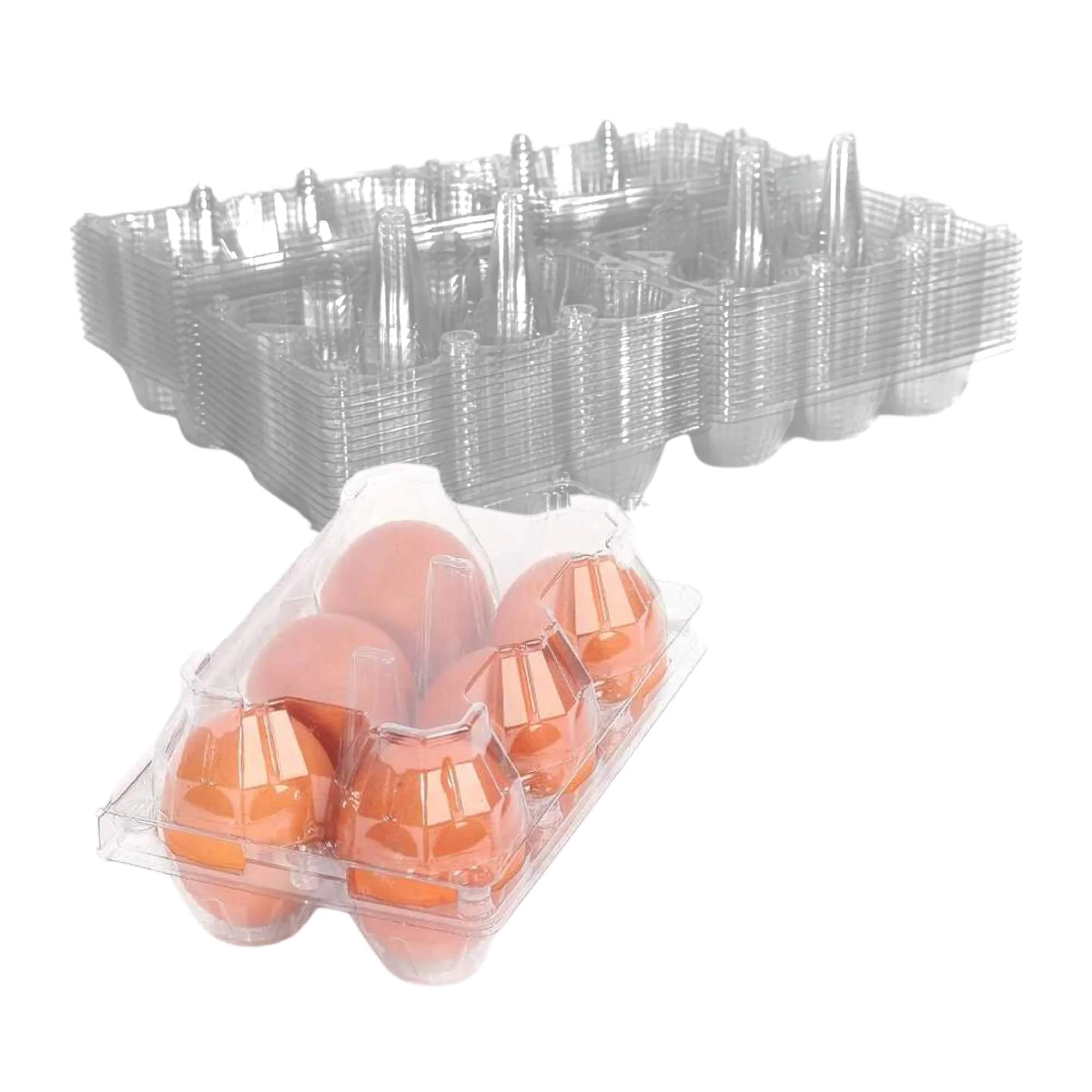 6-Egg Carton - Clear Plastic - Image 6