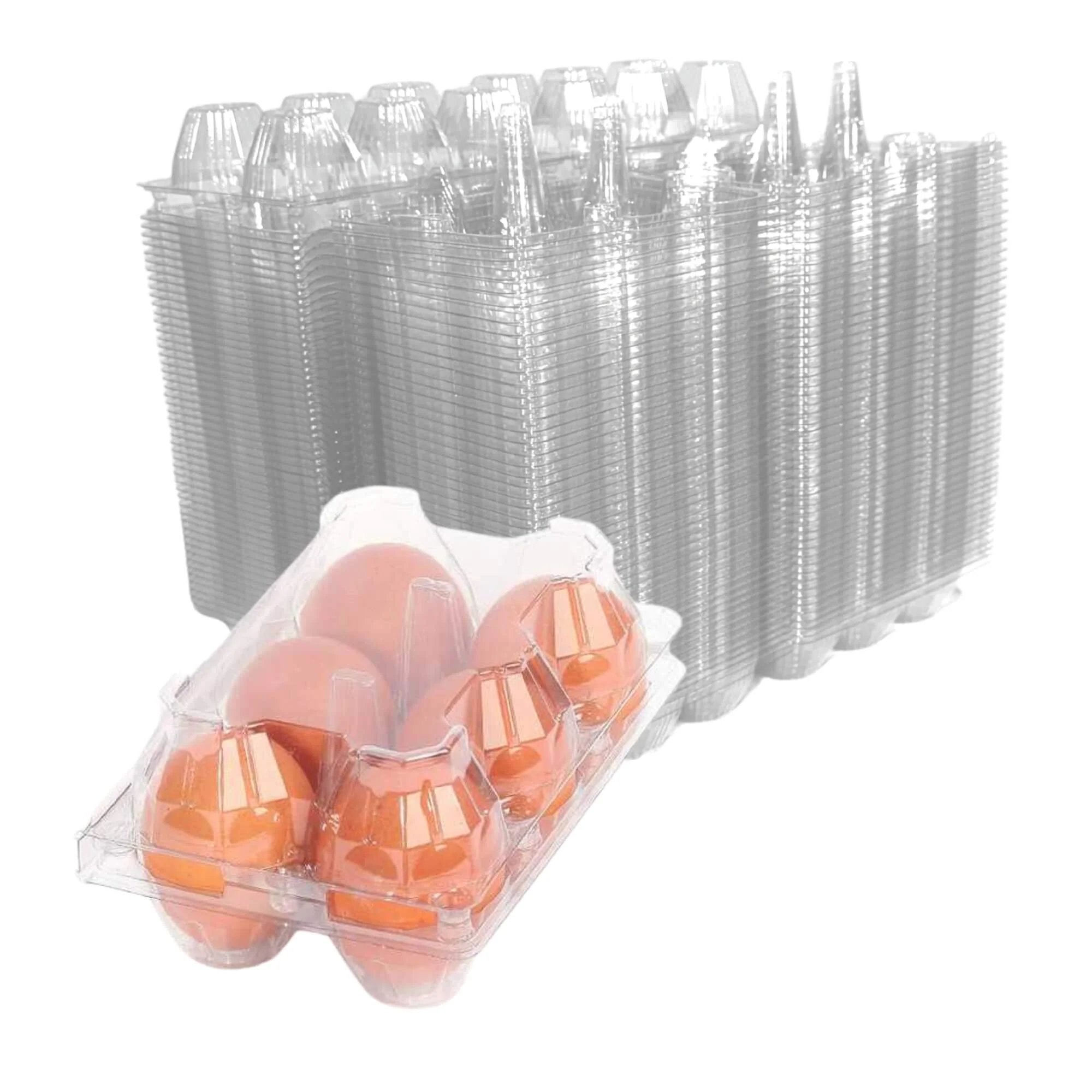 6-Egg Carton - Clear Plastic - Image 8