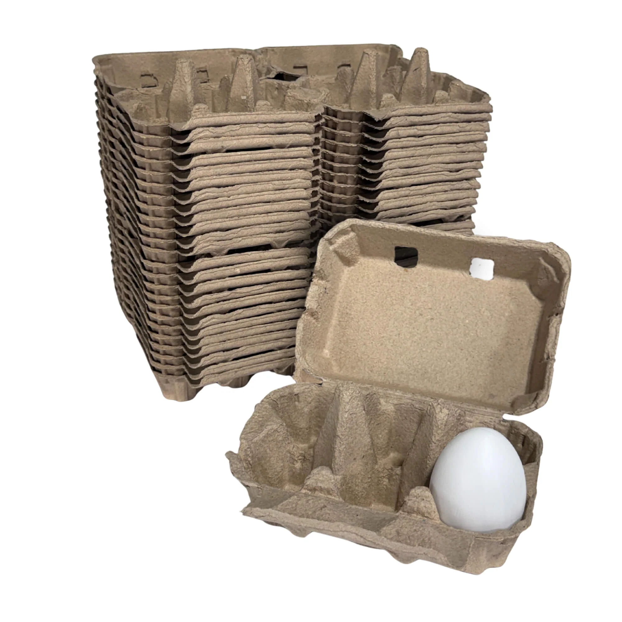 6-Egg Cartons - Natural Pulp, Flat Blank Top - Image 7