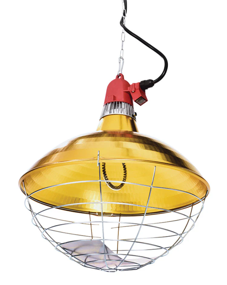 600 Watt Carbon Fiber Heater With 12'' Diameter Shade - Image 2