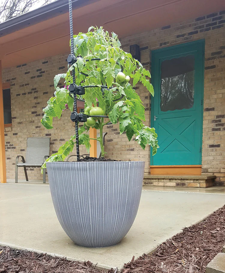 8-INCH PLANT SUPPORT RINGS - Image 2
