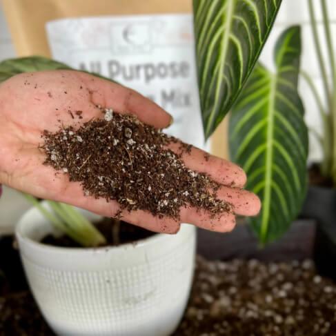 All-Purpose Soil Mix - Image 5
