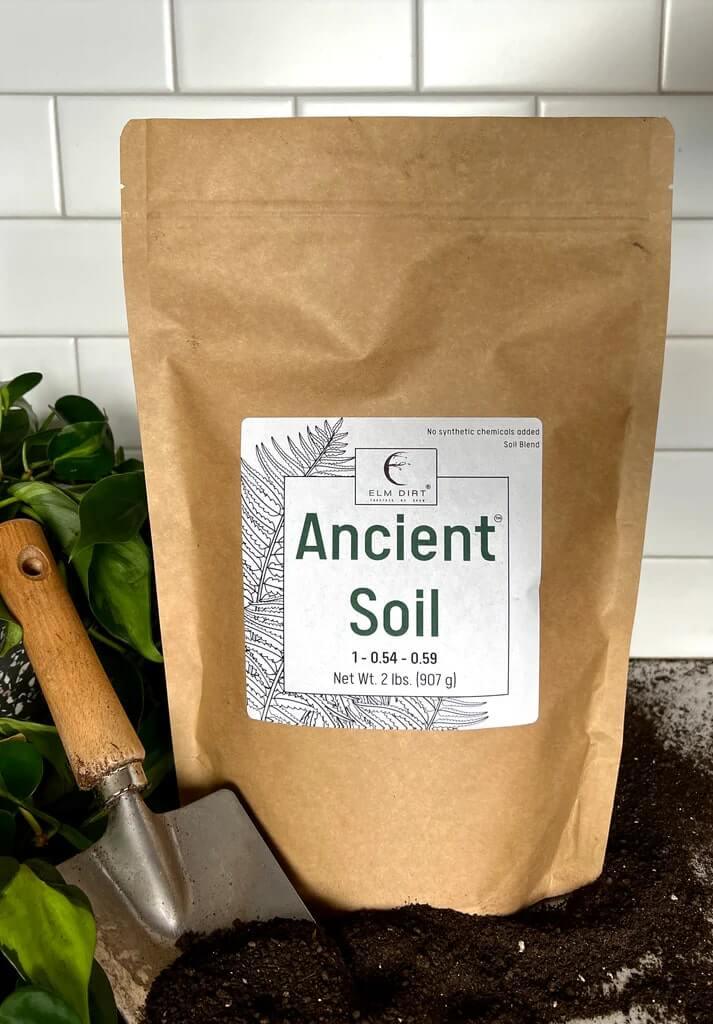 Ancient Soil Organic Living Soil - Image 10