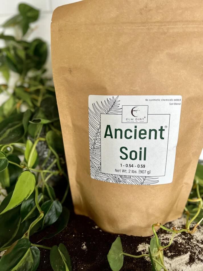 Ancient Soil Organic Living Soil - Image 11