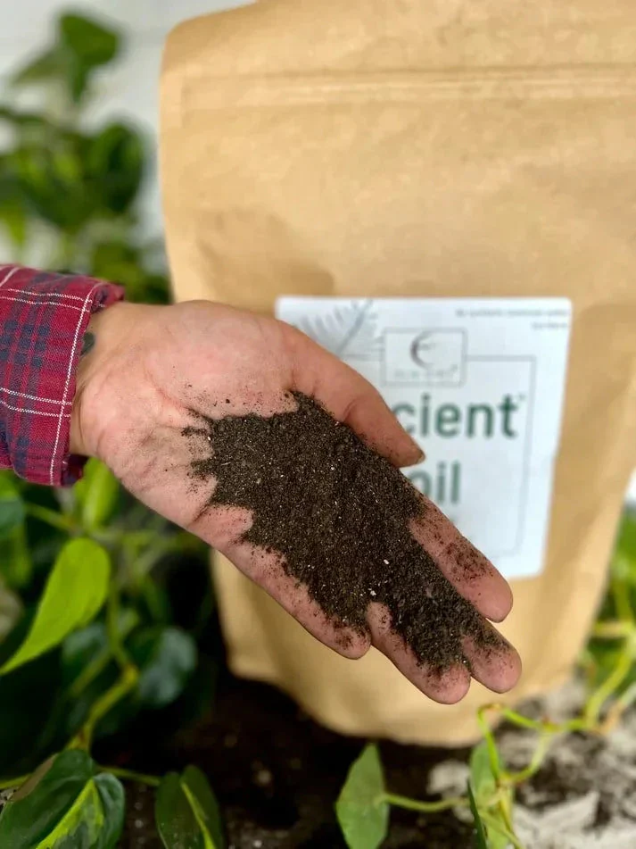 Ancient Soil Organic Living Soil - Image 12