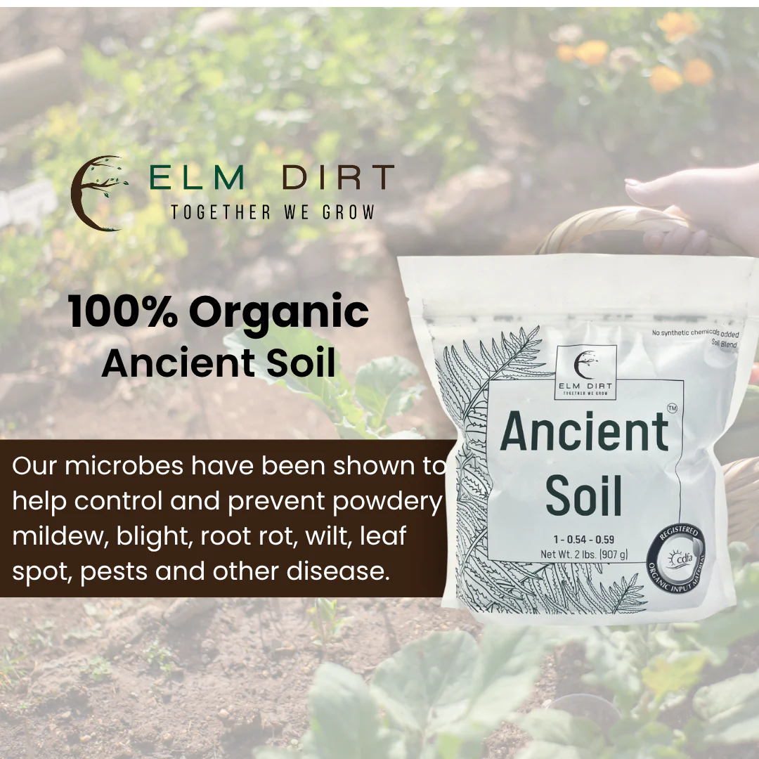 Ancient Soil Organic Living Soil - Image 3
