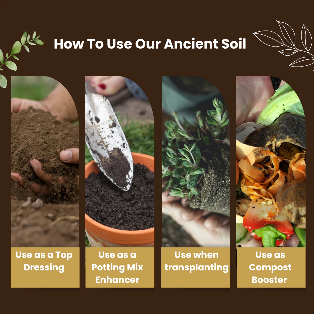 Ancient Soil Organic Living Soil - Image 5