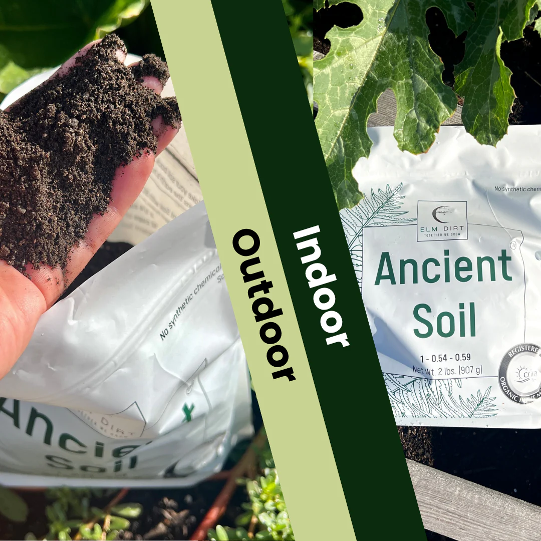 Ancient Soil Organic Living Soil - Image 6