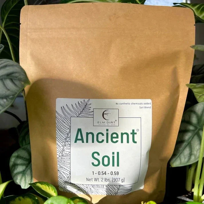 Ancient Soil Organic Living Soil - Image 7