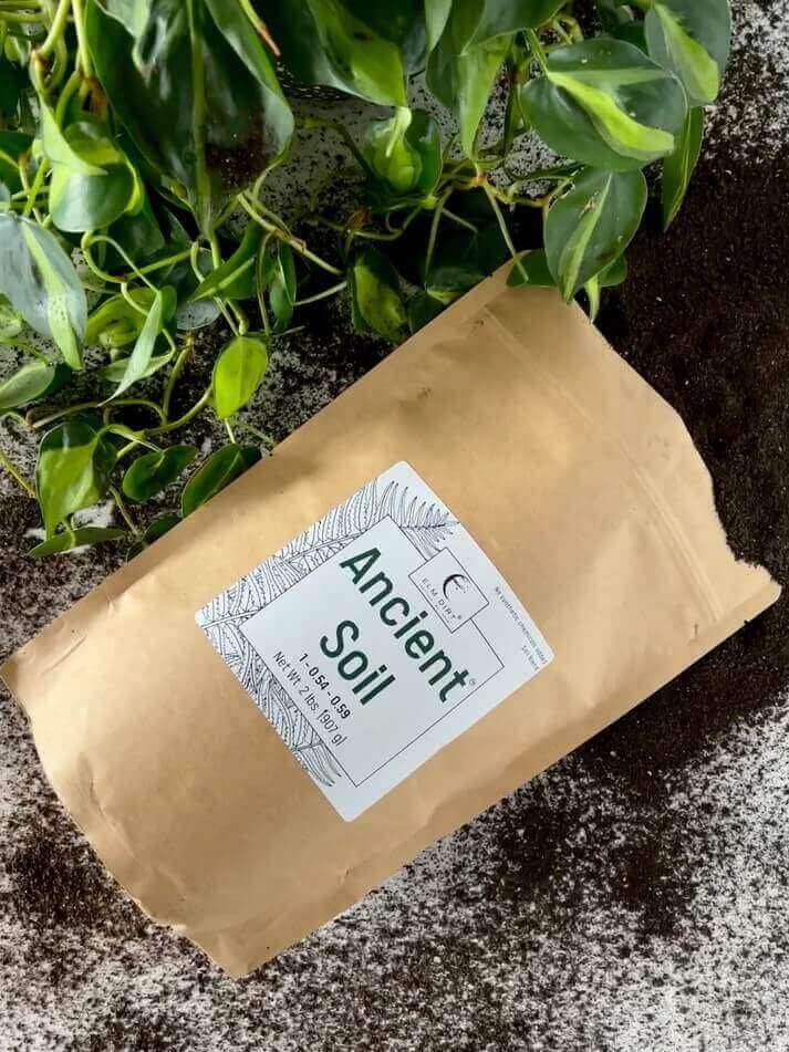 Ancient Soil Organic Living Soil - Image 8