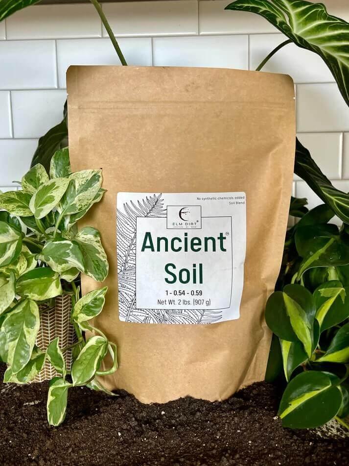 Ancient Soil Organic Living Soil - Image 9