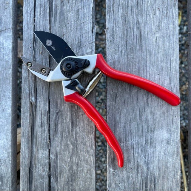 Anvil Pruner - Quality Anvil + Blade Shears - Image 2