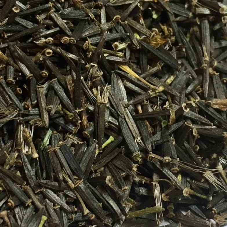 Arnica, Meadow (Arnica chamissonis) - Image 5