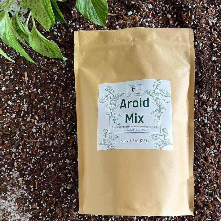 Premium Aroid Mix For Tropical Plants - Image 6