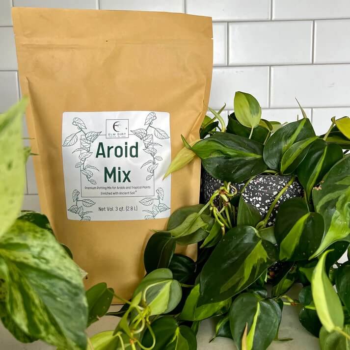 Premium Aroid Mix For Tropical Plants - Image 7
