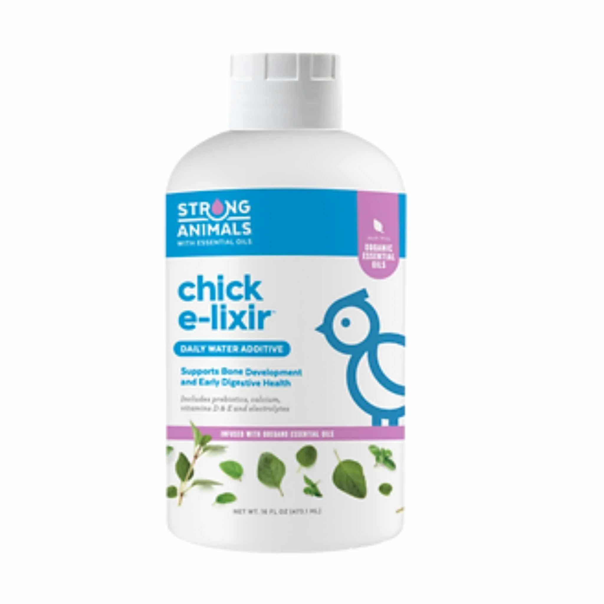 Baby Chick Care Kit - Image 3