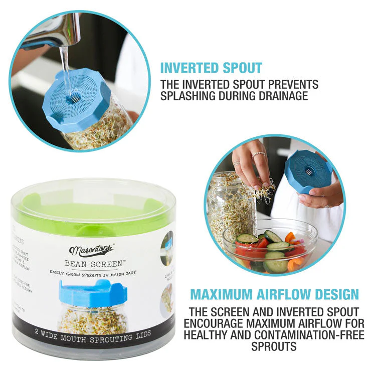 BASIC BEAN SPROUTING SET - Image 4