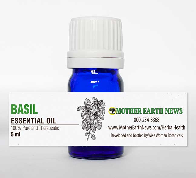 Basil Essential Oil - Image 2