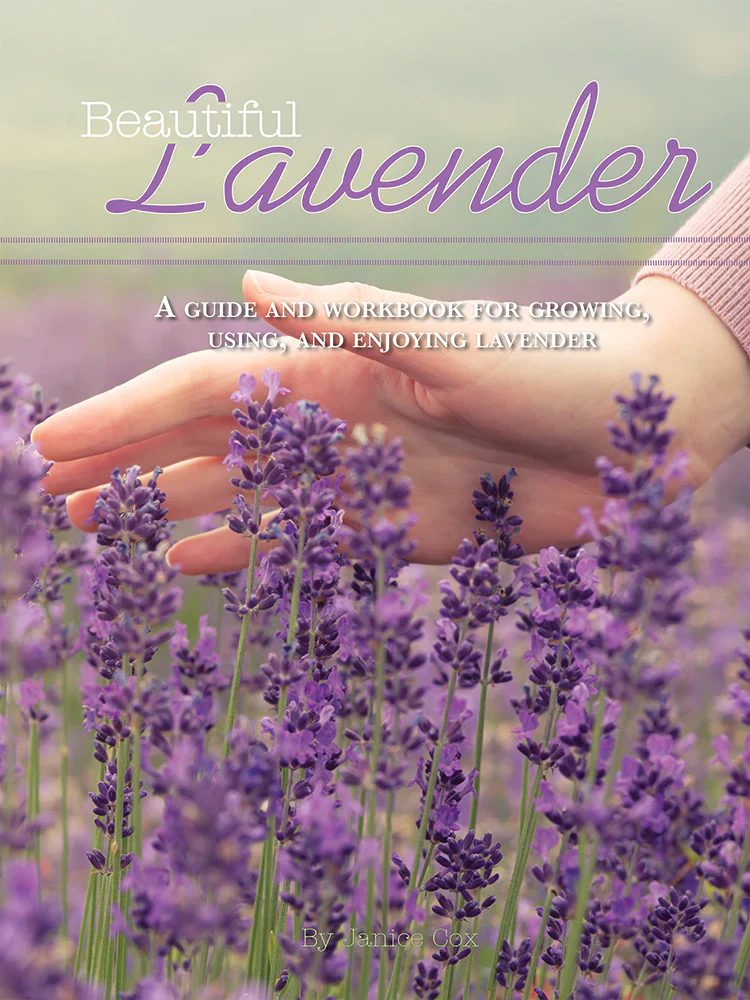 Beautiful Flowers, Lavender, & Luffa Set - Image 3