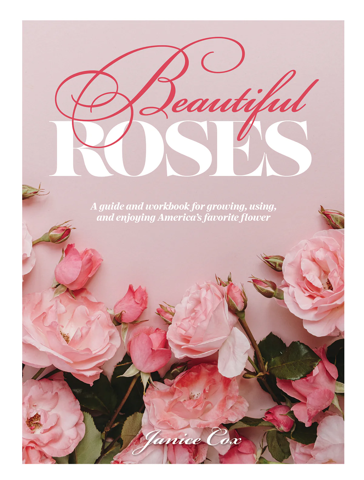 Beautiful Roses
